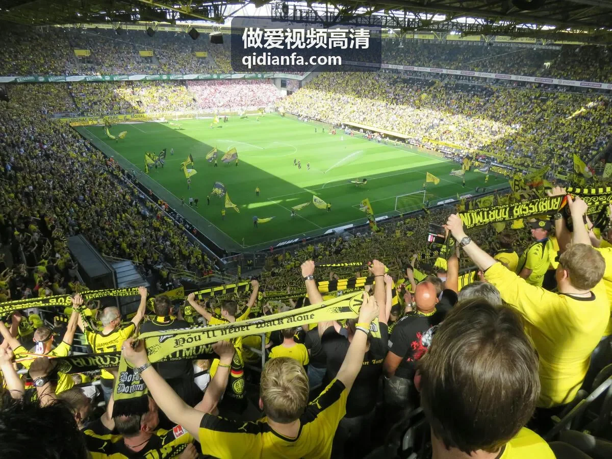 做爱视频高清 4K播放示例